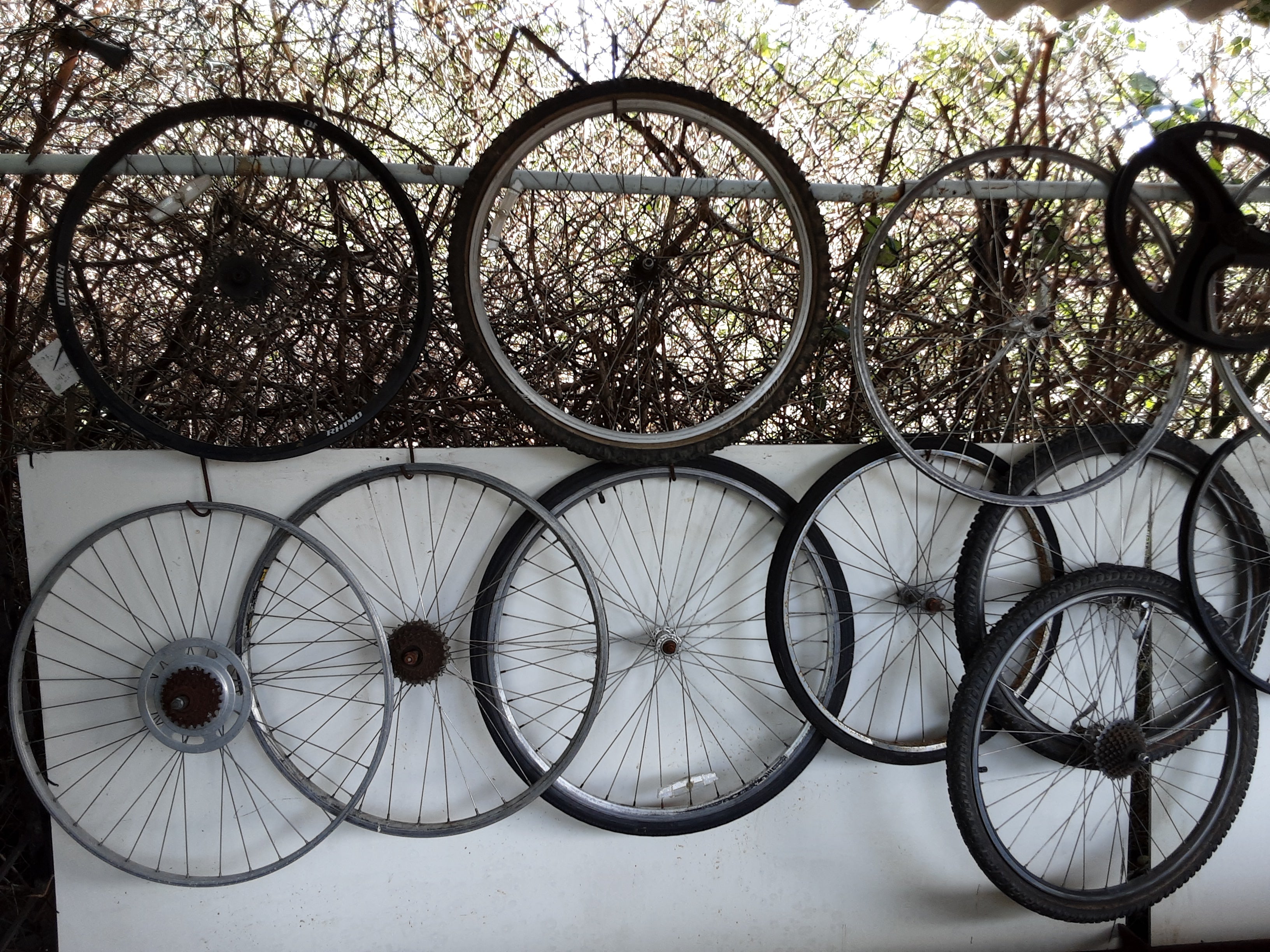 Bicycle Wheels The Workshop Grimsby