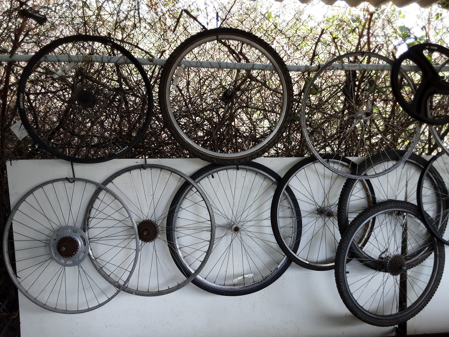 Bicycle Wheels