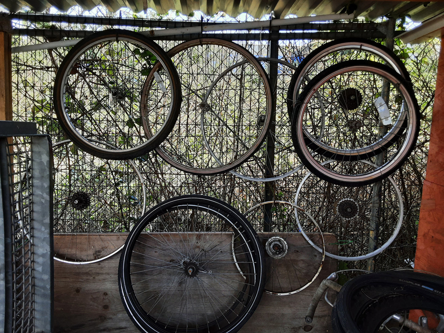 Bicycle Wheels