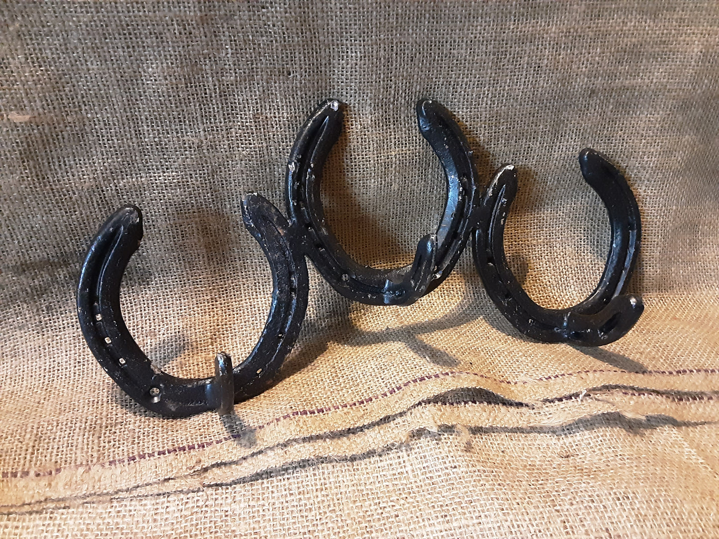 Three Horseshoe Coat Hooks