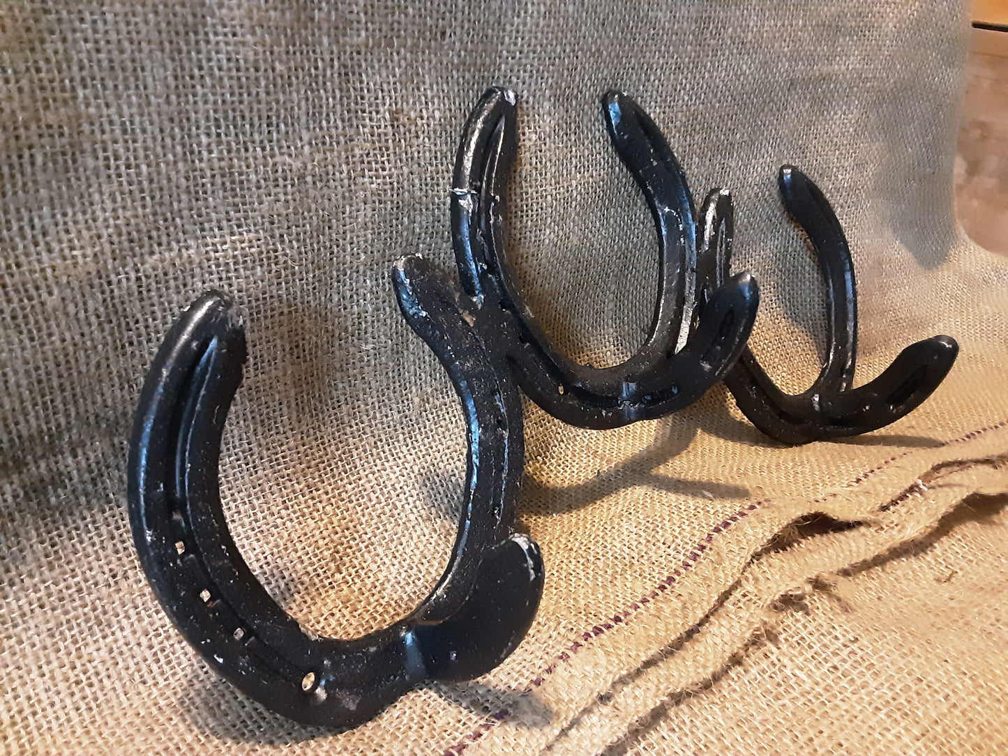 Three Horseshoe Coat Hooks