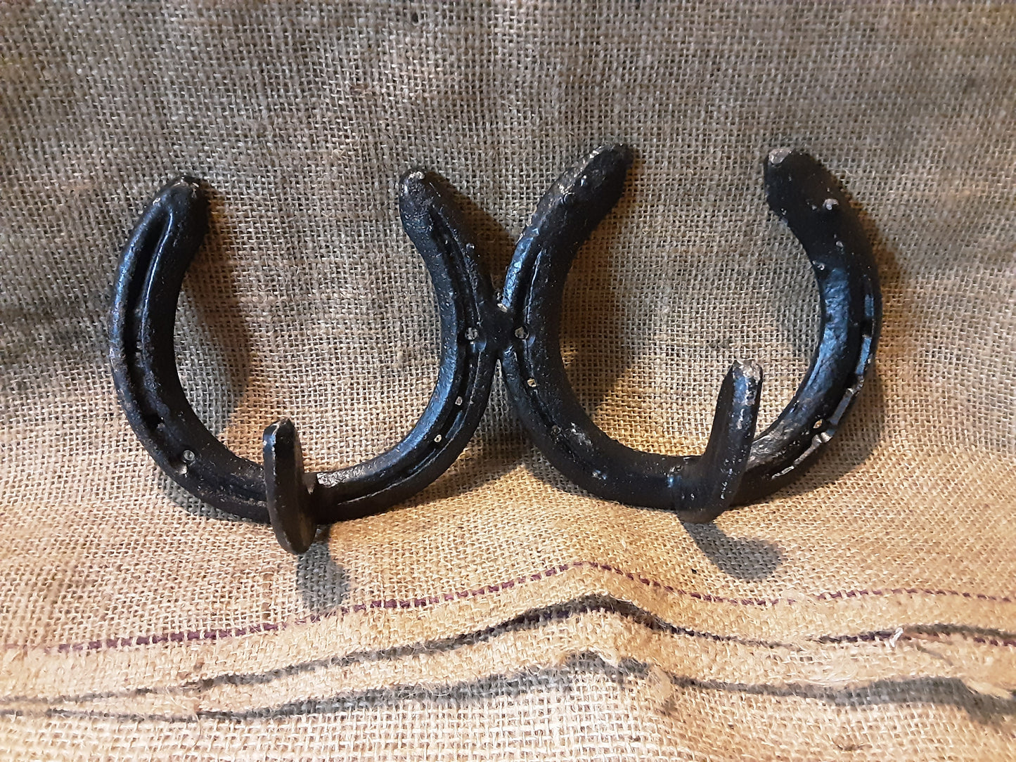 Two horse shoe coat hooks