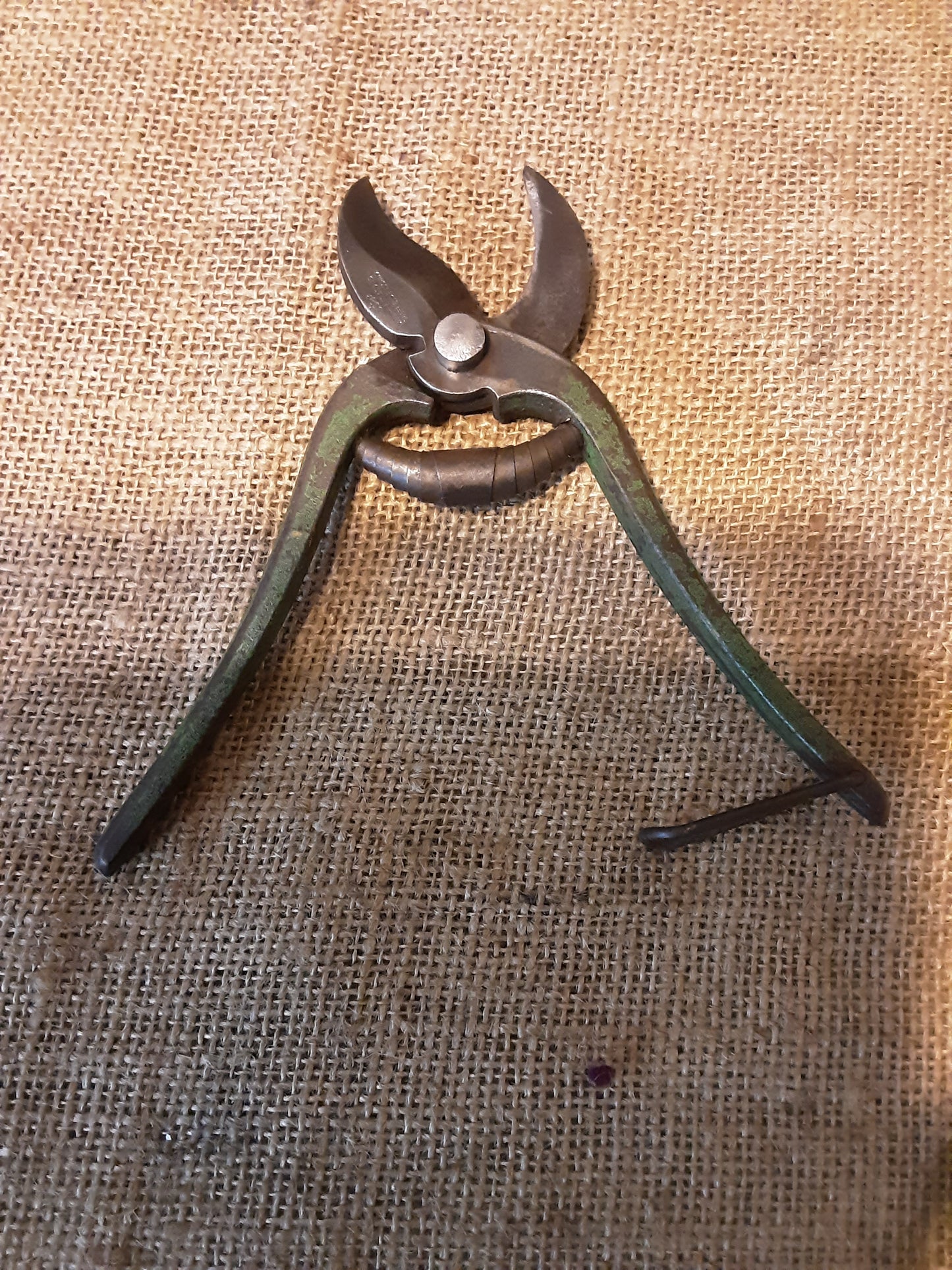 Parrot Nose Secateurs