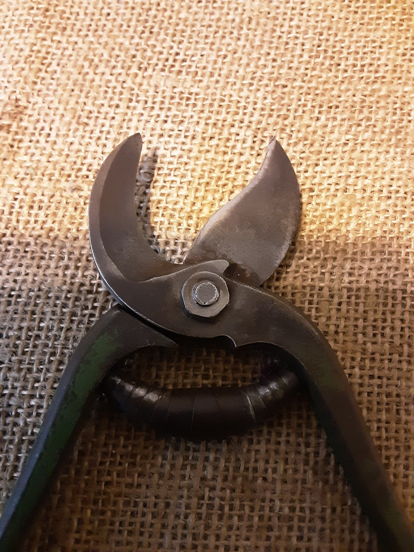 Parrot Nose Secateurs