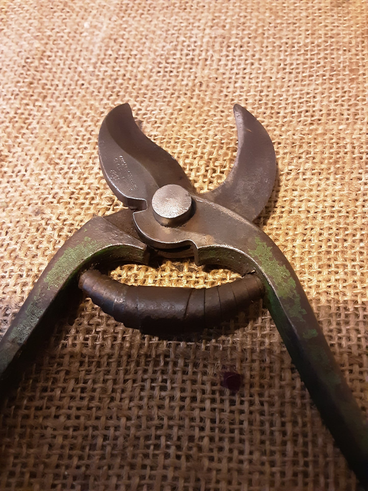 Parrot Nose Secateurs