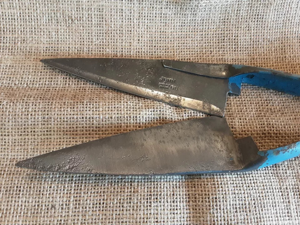 Vintage Sheep Shears John Guy & Co Sheffield